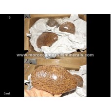 By weight Coral By weight Coral