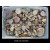 mixed raw ammonites 