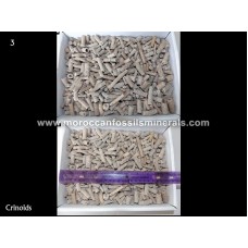 By weight cronoids By weight cronoids