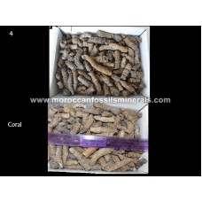 By weight Coral 2 By weight Coral 2