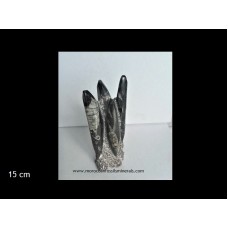 Orthoceras tower 15cm