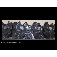 Fossil Sculpture 25 cm