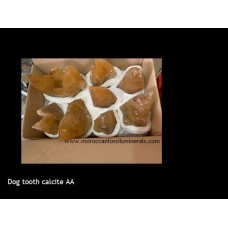 Dog tooth Calcite AA