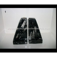 Bookend fossil 1 Bookend fossil 1