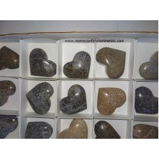 Dinosaur bone hearts Dinosaur bone hearts