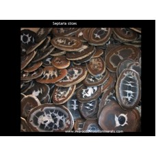 Septaria slices