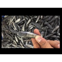 Orthoceras pendants 1